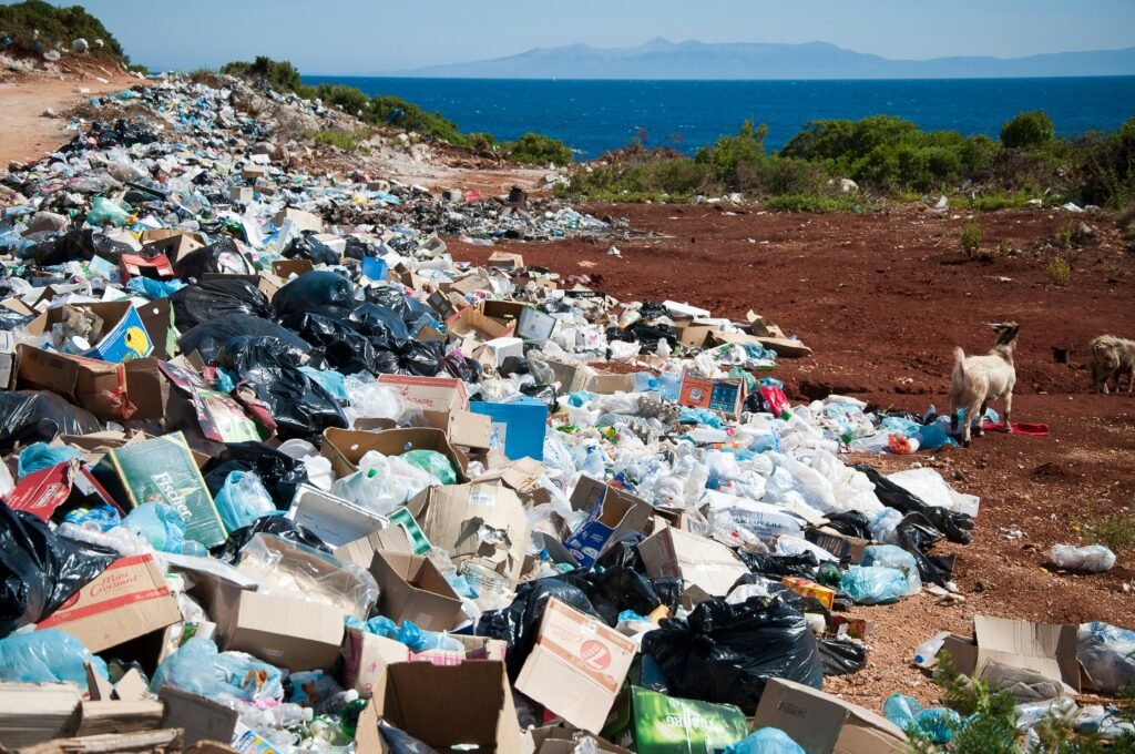 plastic waste representation image [Photo by Antoine GIRET on Unsplash ]
