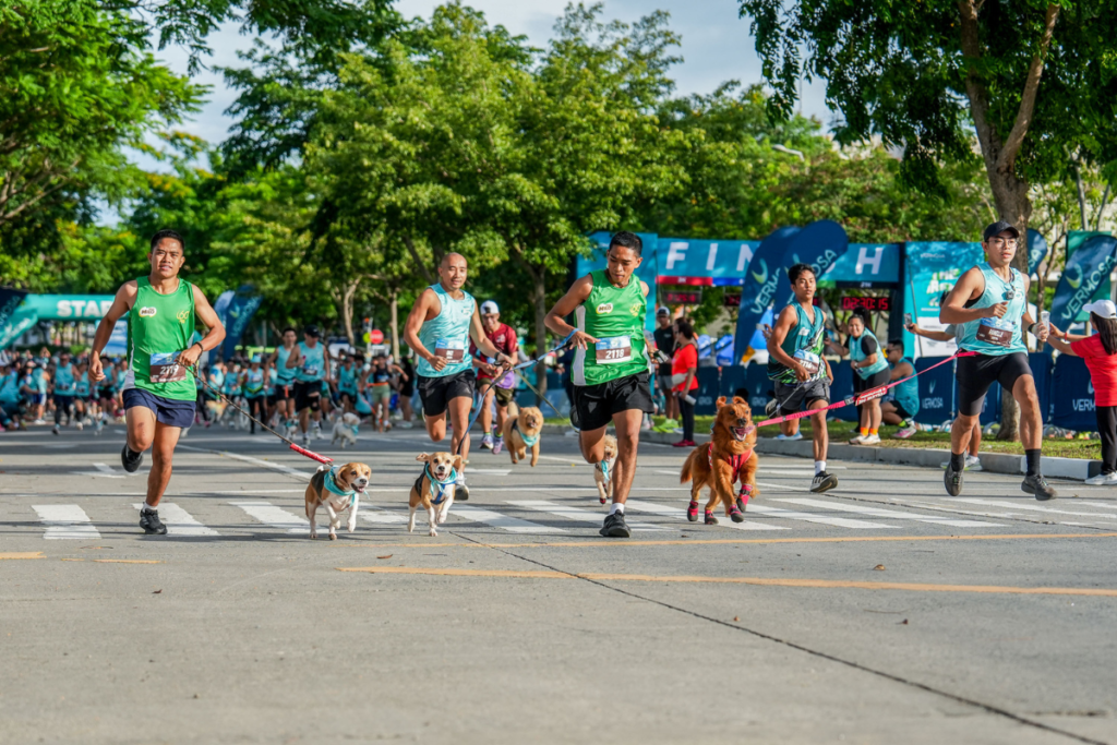 The Vermosa Green Run featured races from 3K to 21K along with a 1K Dog Run.